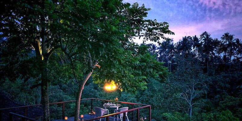 ubud-romantic-dinner-on-a-forest-tree-deck