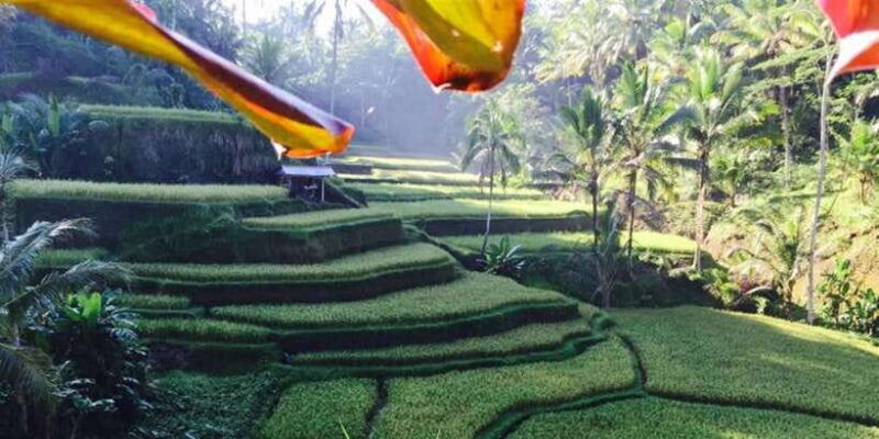 ubud-volcano-hot-springs-tours