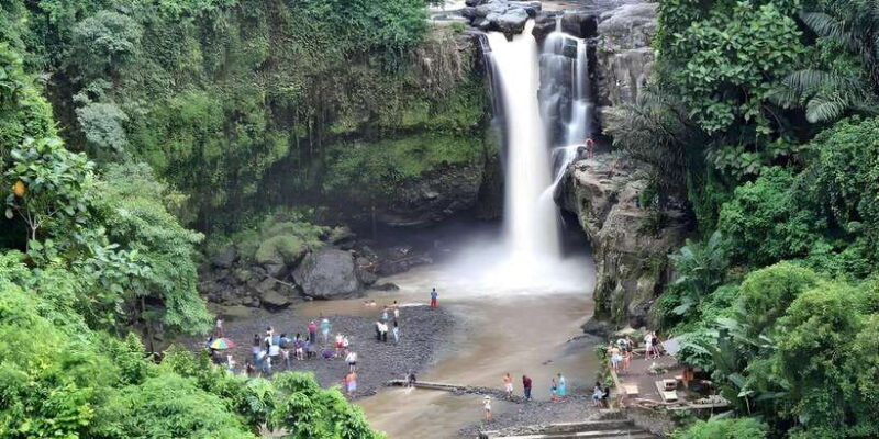 ubud-vw-safari-bali-tour