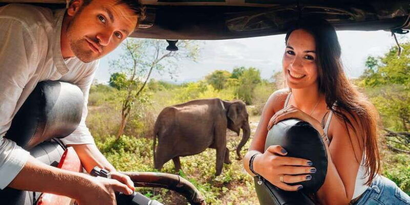 udawalawa-national-park-all-inclusive-private-day-tour
