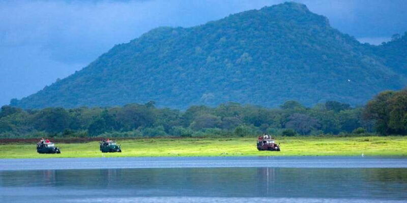 udawalawe-national-park-private-full-day-safari