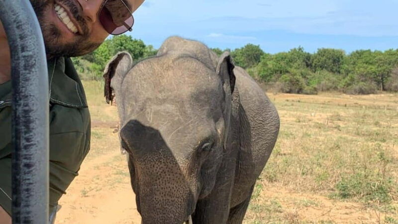 udawalawe-national-park-wildlife-safari-from-hambantota-port