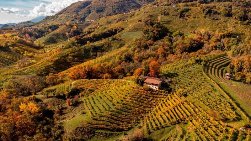 valdobbiadeneprosecco-superiore-hills-tour-with-winetasting