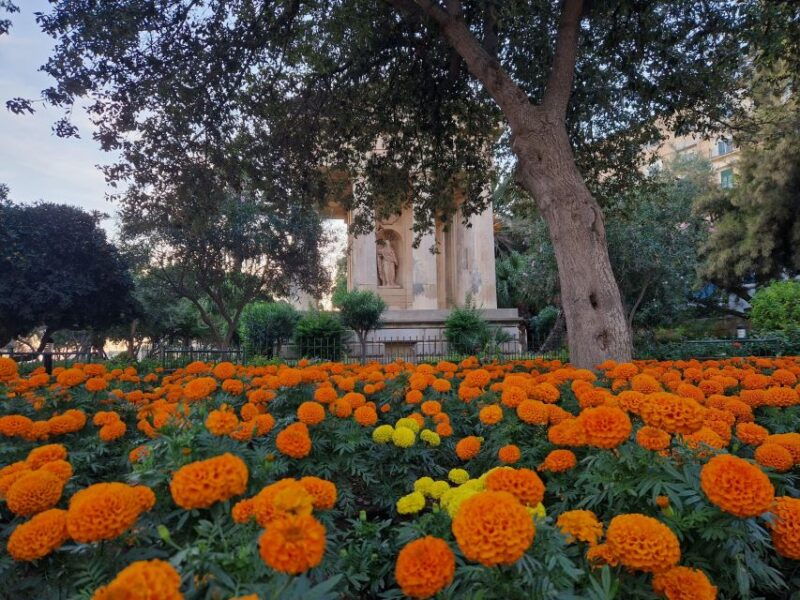 valletta-city-walking-tour-in-a-small-group
