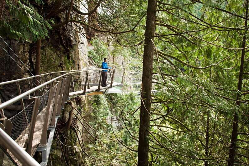 vancouver-city-tour-and-capilano-suspension-bridge-ticket