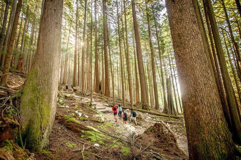 vancouver-guided-hiking-highlights-at-grouse-lynn-canyon