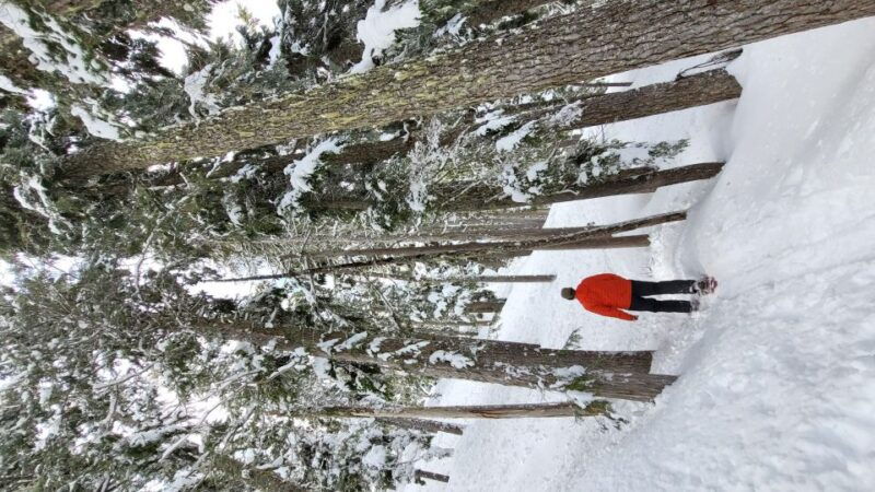 vancouver-island-snowshoeing-and-sauna-tour