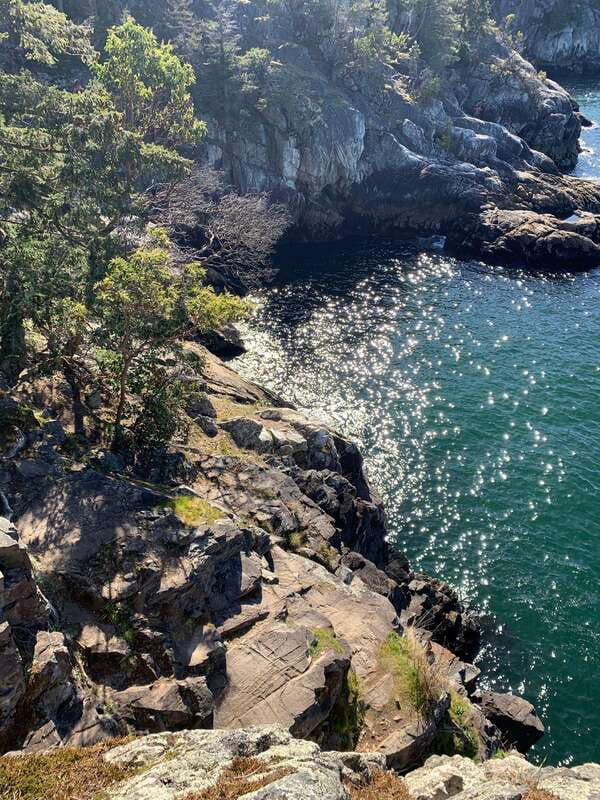 vancouver-lighthouse-park-hike