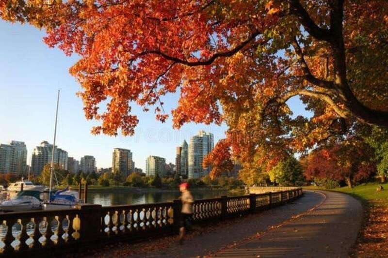 vancouver-must-see-attractions-walking-tour-with-a-guide