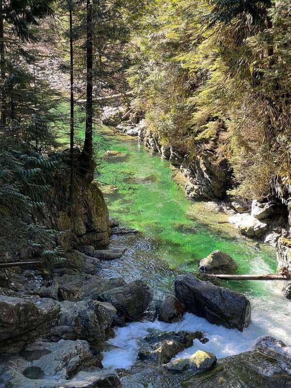 vancouver-rainforest-waterfall-hike-and-suspension-bridge