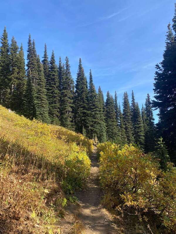 vancouver-squamish-garibaldi-park-panorama-ridge-hike