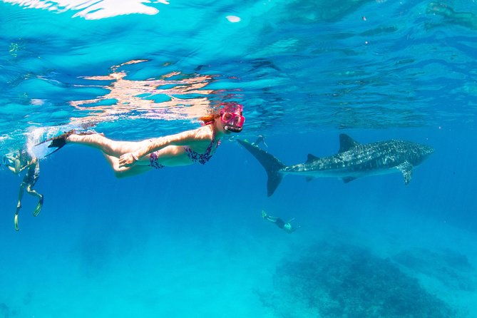 VIP luxury chartered escapes, exploring the reef at your own pace - Key Points