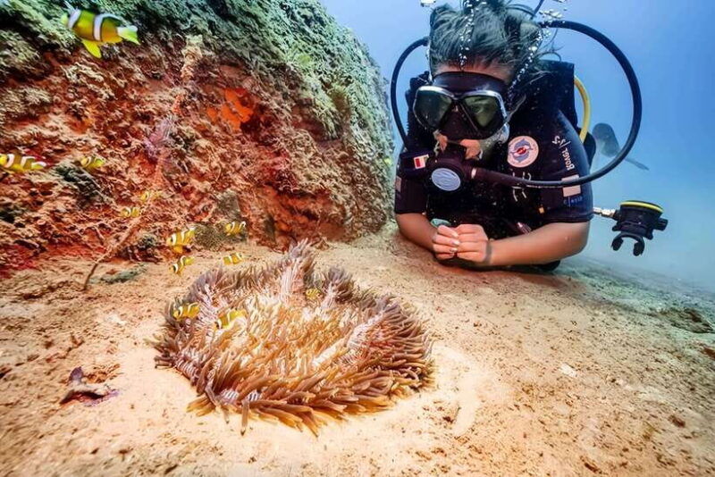 visit-cham-islands-snorkelling-scuba-diving