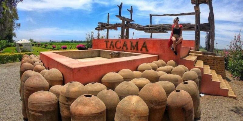 visit-to-the-tacama-winery-wine-and-pisco-tasting