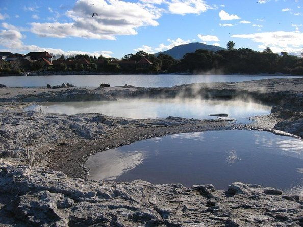 Volcanic Rotorua Day Trip from Auckland - Key Points