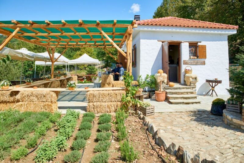 volos-cook-like-a-local-at-a-greek-farm