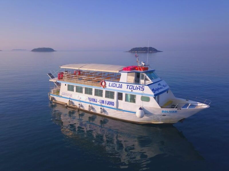 vrsar-dolphin-watching-boat-tour-including-drinks-2