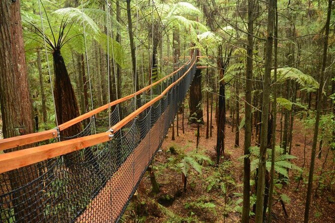 Wai-O-Tapu to Redwoods and Secret Spot Private Tour from Auckland - Key Points