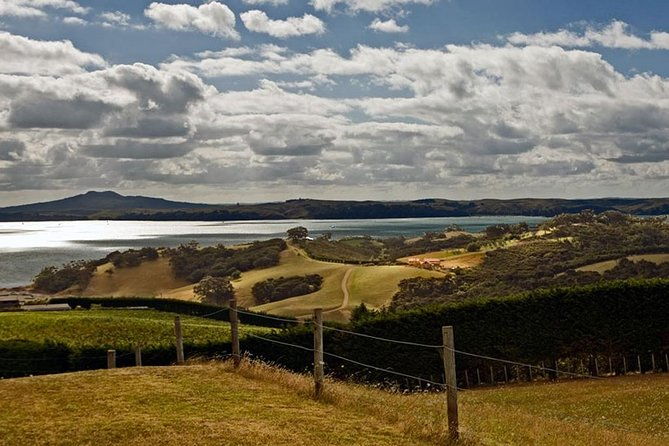 Waiheke Island Art Tour - Exploring the Waiheke Island Art Tour: A Deep Dive into Creativity