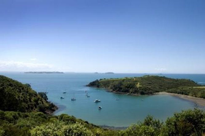 Waiheke Island - Fly and Dine (from North Shore Airport) - Key Points