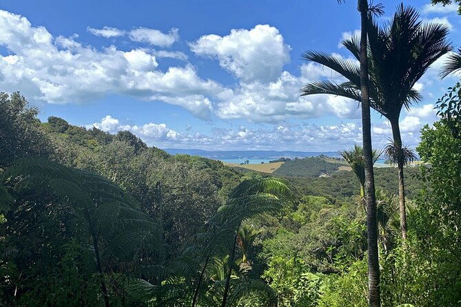 Waiheke Island Private Bush and Beach Walk - Introduction