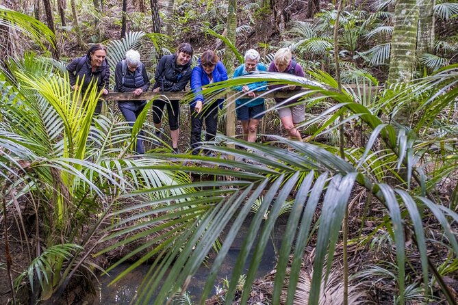 Waiheke Island Private Forest Bathing Walk - Key Points