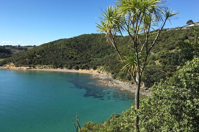 Waiheke Island Private Guided Te Ara Hura Walk - What We Love About This Tour