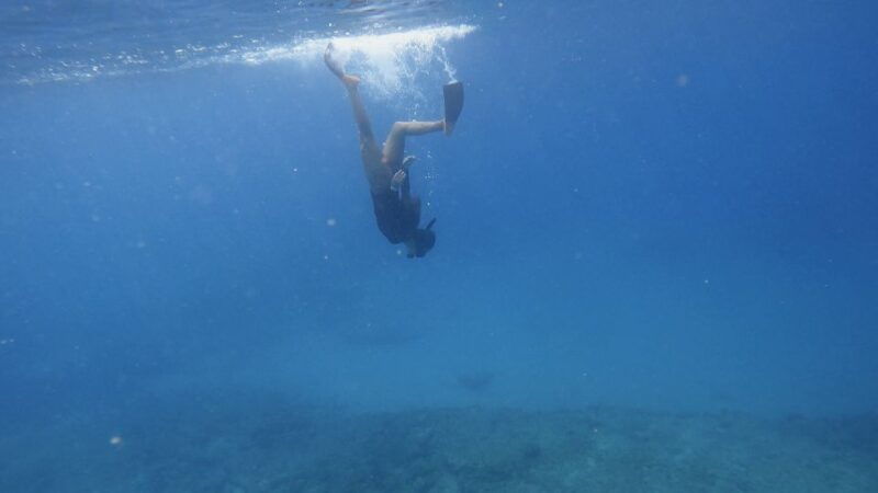 waikiki-honolulu-beginner-snorkeling-tour-with-videos