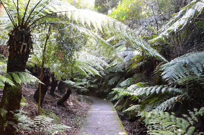Walk the Darwin Botanic Gardens - Discover the Charm of Darwin’s Botanic Gardens