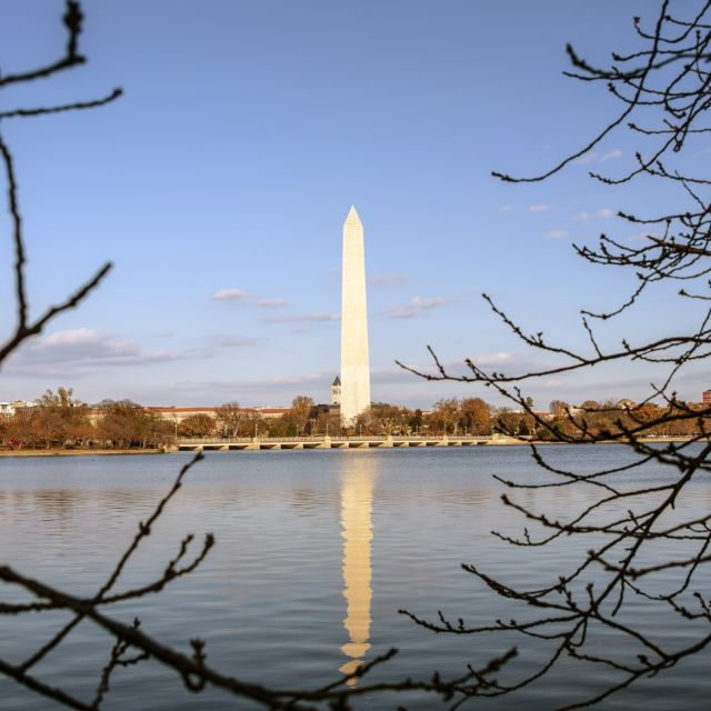 washington-cherry-blossom-tour
