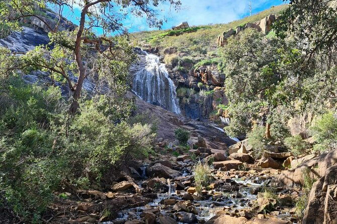 Waterfalls, Wildflowers & Wandoo Hiking Experience - Key Points