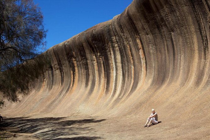 Wave Rock, Pinnacles and Rottnest One Day Aeroplane Tour - Introduction