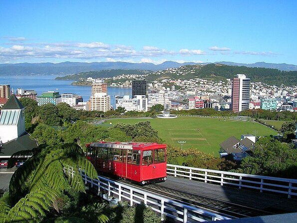 Wellington Full Day Private Tour in Electric Tesla SUV - Key Points  