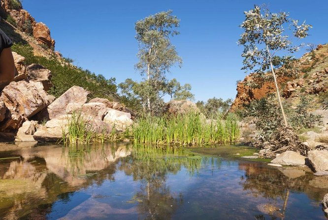 West MacDonnell Ranges Full-Day Private Charter Guided Tour - Exploring the West MacDonnell Ranges: A Detailed Look at the Private Full-Day Tour