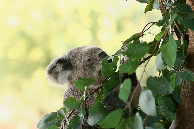 Western Australias Paradise: A Private Day Tour from Perth - Key Points