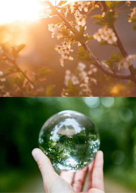 wexford-a-mindful-retreat-forest-bathing-nature-therapy
