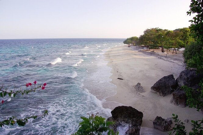 Whale Shark & Tumalog Falls & Sumilon Sandbar & Pescador Island with Sardines - Stop 1: Oslob Whale Shark Watching