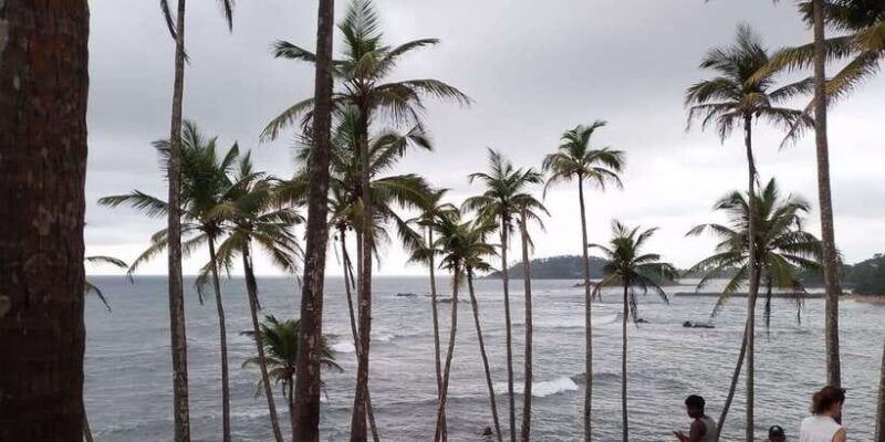 whale-watching-day-tour-to-mirissa