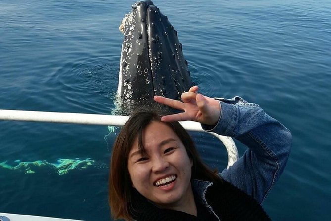 Whale Watching Dunsborough - Key Points  