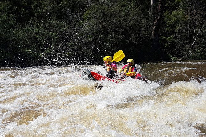 Whitewater Sports rafting on the Yarra river - Key Points