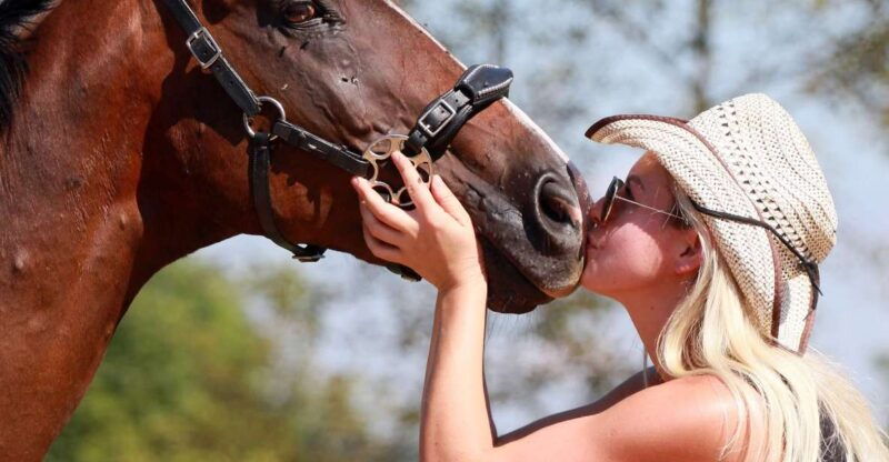 wild-spring-ranch-rakovica-croatia-horse-riding