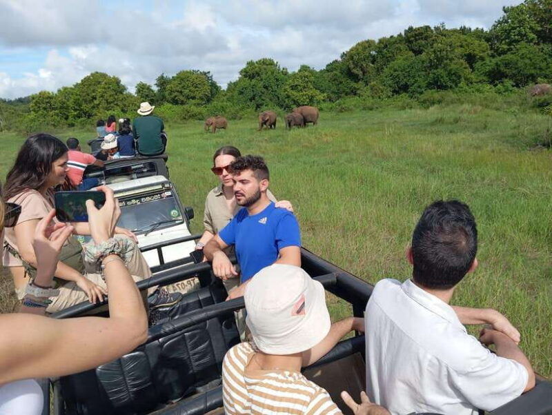 wildlife-experience-at-minneriya-national-park-safari