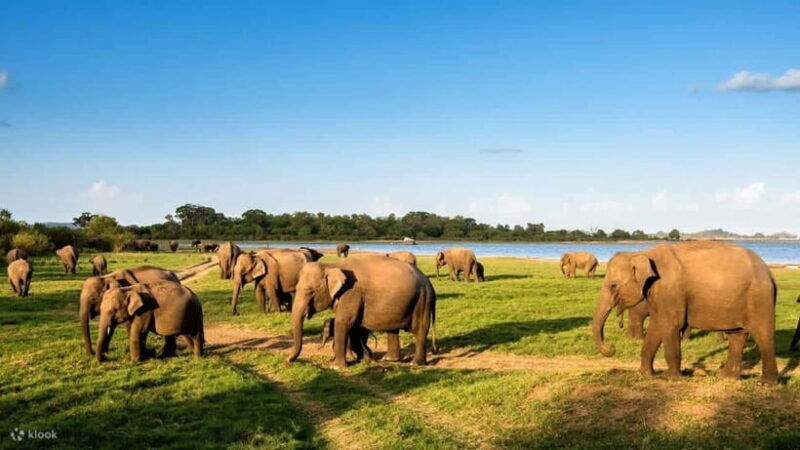 wildlife-sri-lanka-10-day-all-inclusive-tour