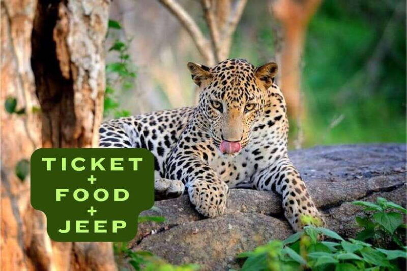wilpattu-national-park-safari-jeep-tour