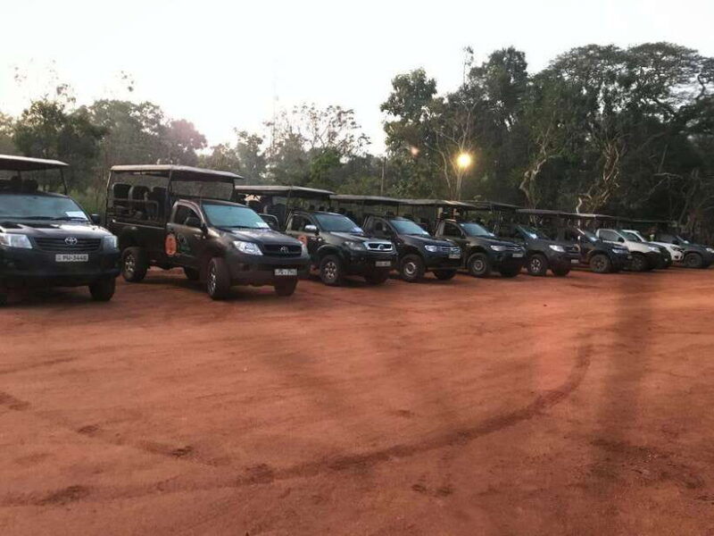 wilpattu-national-park-safari
