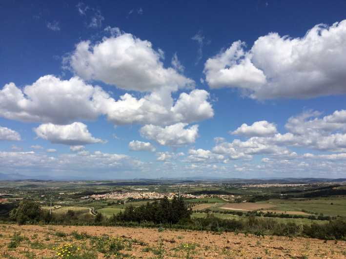 wine-experience-around-cagliari