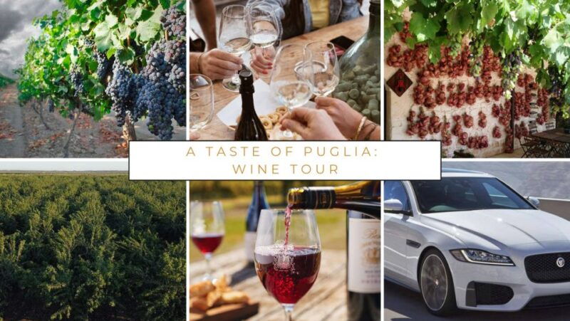wine-tasting-experience-in-the-apulian-countryside