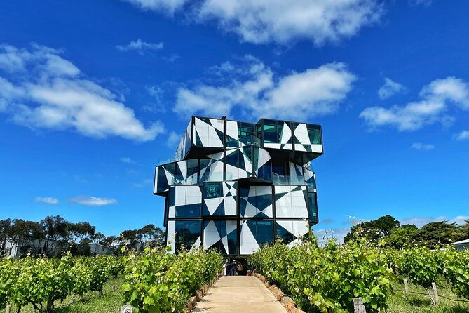 Wine Tasting in McLaren Vale - Key Points
