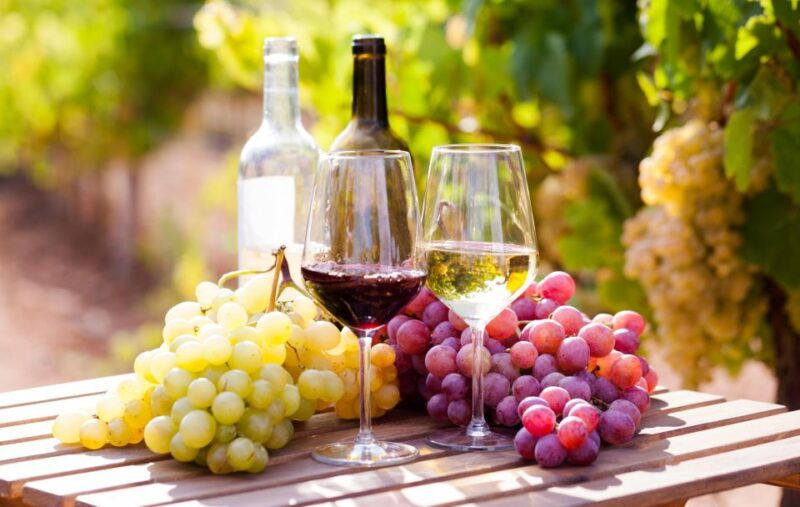 wine-tasting-in-the-vesuvius-national-park-3