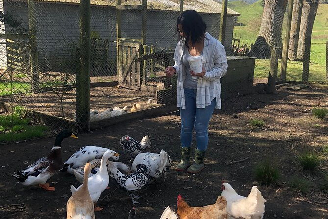 Wool Sheep Farm Experience with Handmade Wool Hat in New Zealand - Experience the Charm of a Wool Sheep Farm in New Zealand